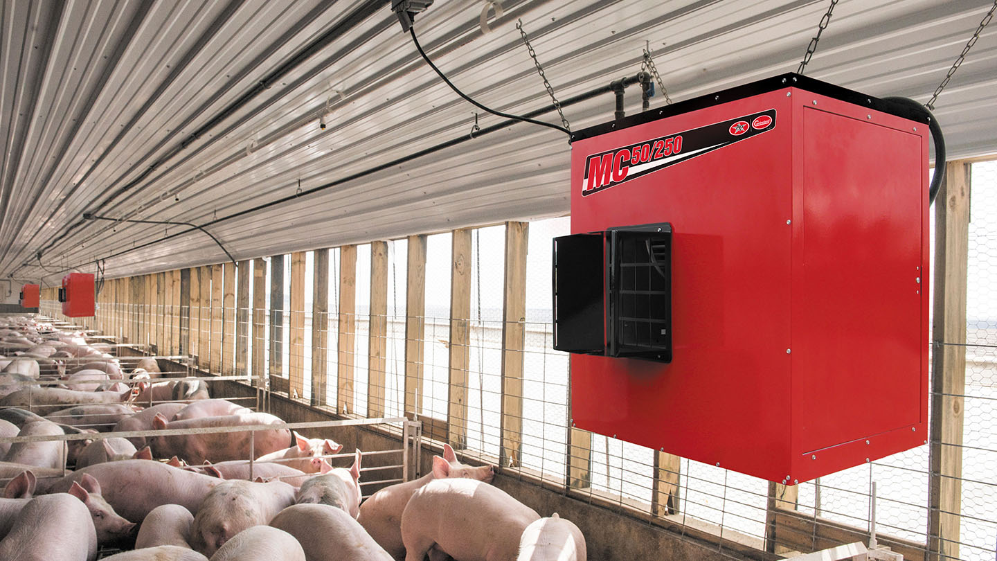 MC 50/250 Heater hanging in a swine facility