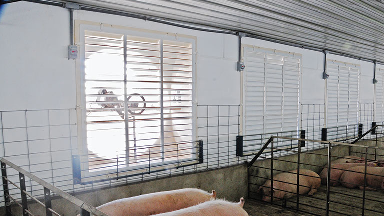 PVC Shutters Shutters