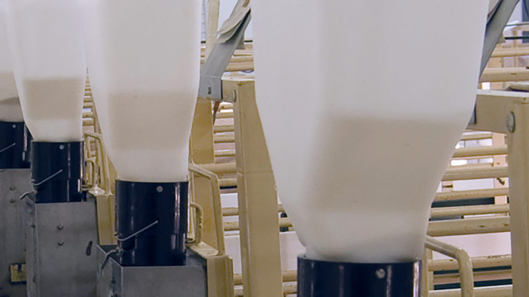 INTaK Feeder Feed intake with the AP INTaK Ad-Lib lactation feeding system
