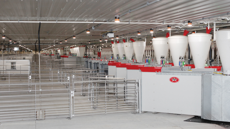 Electronic Sow Feeding Electronic Sow Feeding Course