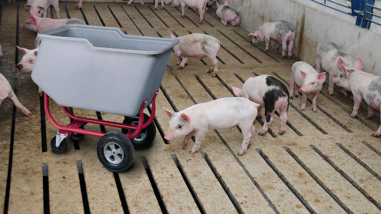 Feed and Chore Carts