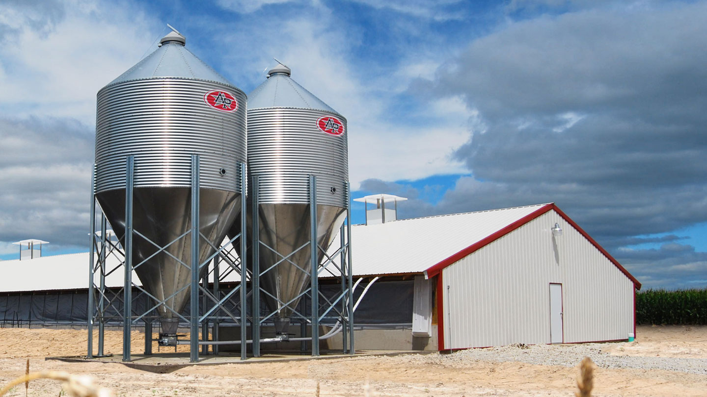 Bulk Feed Tanks