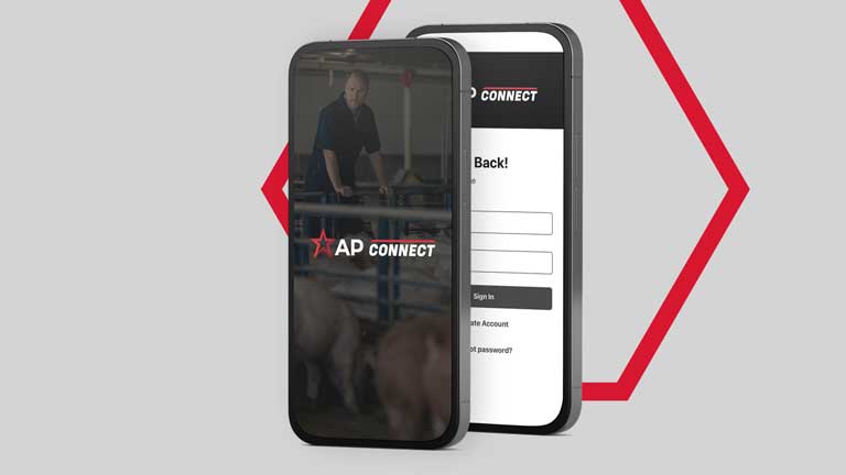 AP Connect