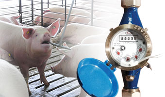 Water Monitoring Water Monitoring