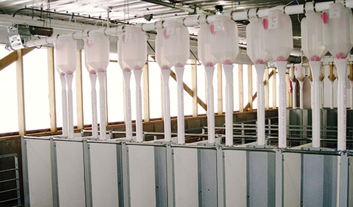 Drop Feeding Options Inner Dividers
