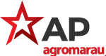 AP Logo