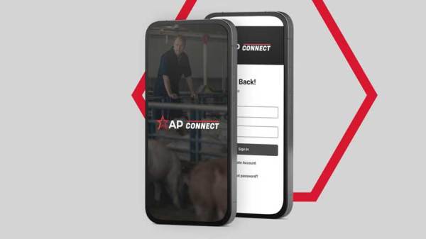 AP Connect with hexagon background
