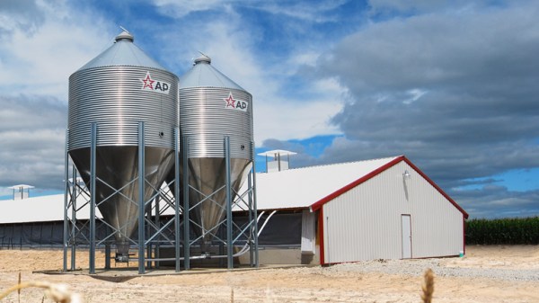 Bulk Feed Tanks