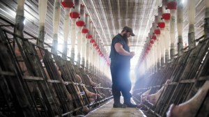 Feeding-Watering-768_c9583b